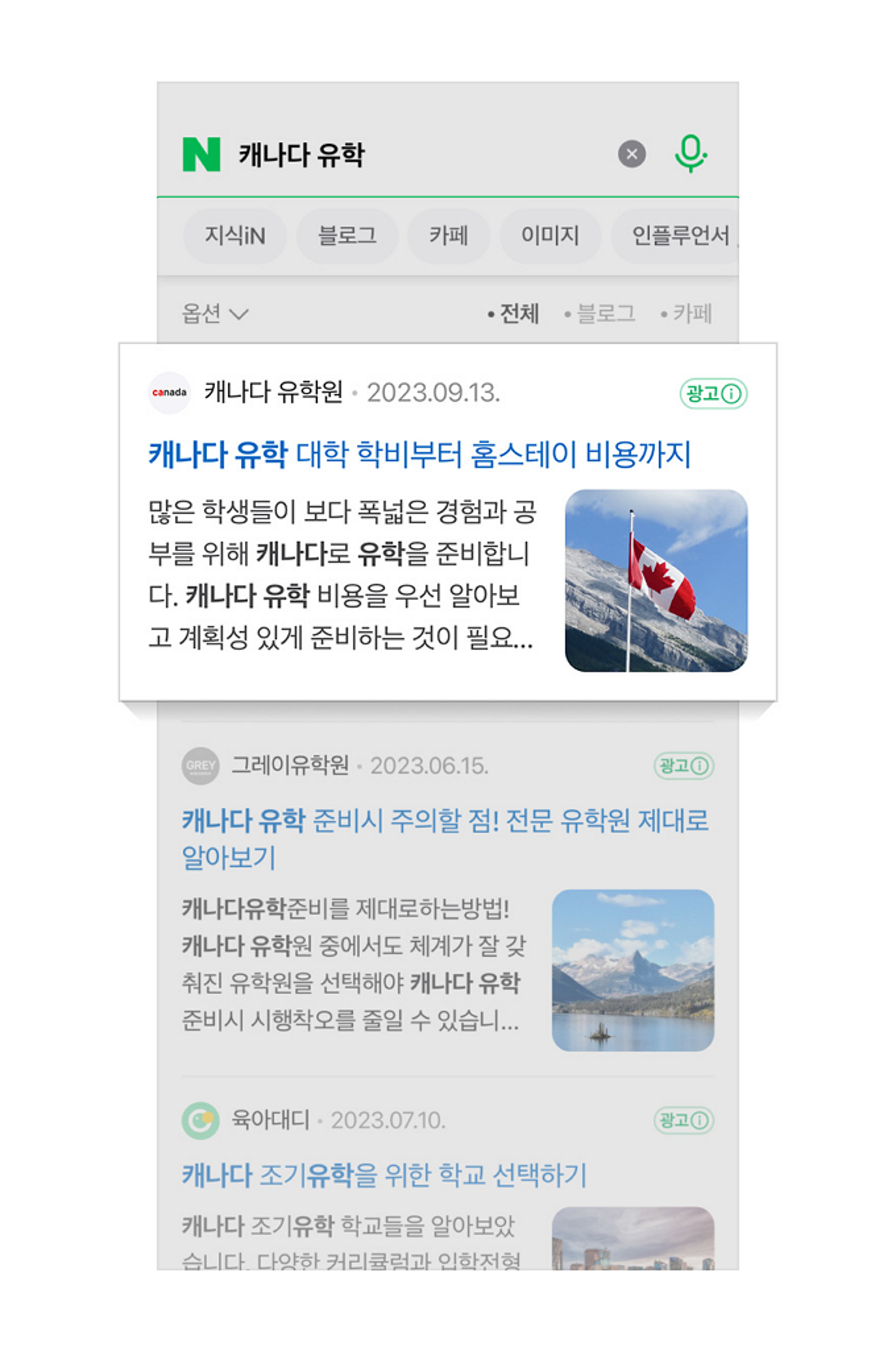 네이버 브랜드콘텐츠 광고 노출 화면